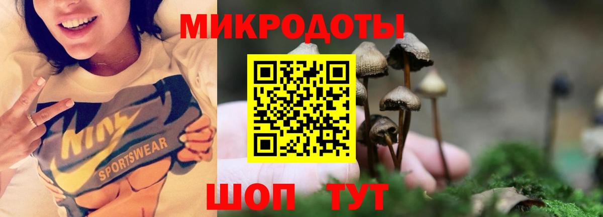 Псилоцибиновые грибы мицелий  Псилоцибиновые грибы прущие грибы  Вход с VPN  Азнакаево 